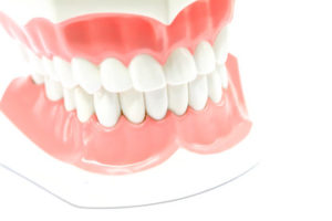 A pair of dentures 